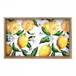 Bandeja Rectangular LIMONES - Imagen 2
