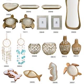 Ocean Shell - Imagen 2